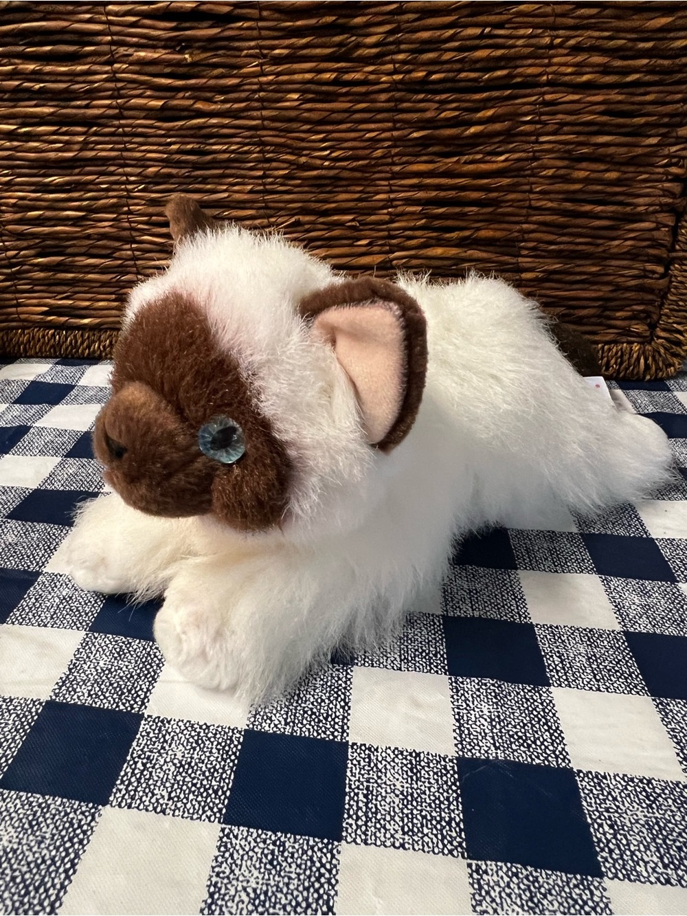 Aurora Floosie Bella Plush Birman Cat/Kitten White and Brown With Blue Eyes